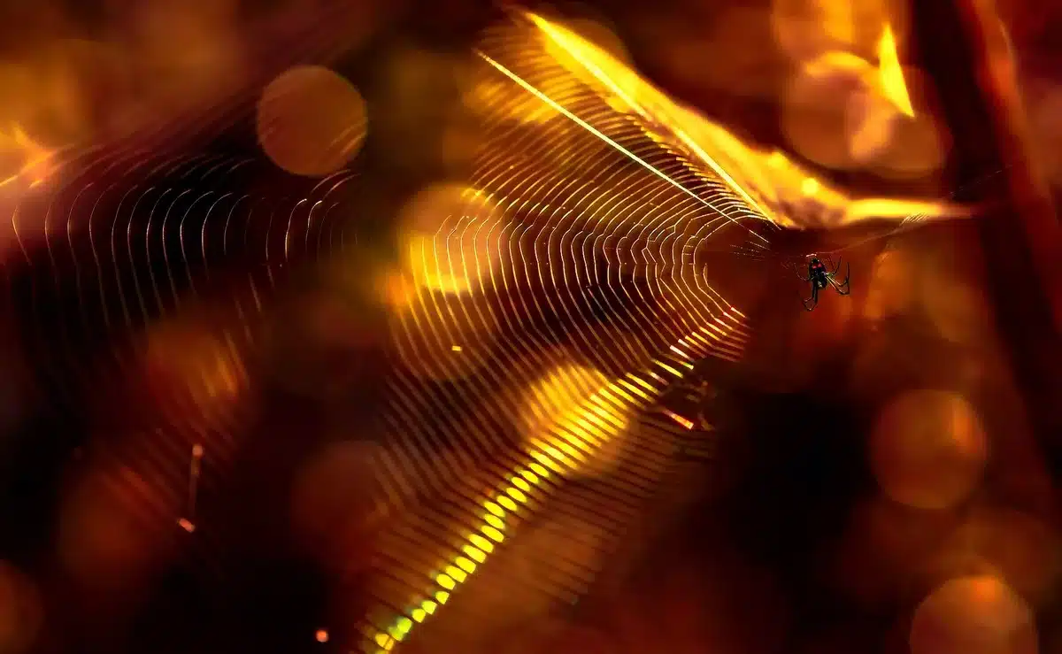 Gros plan de filaments de safran dorés sur fond neutre