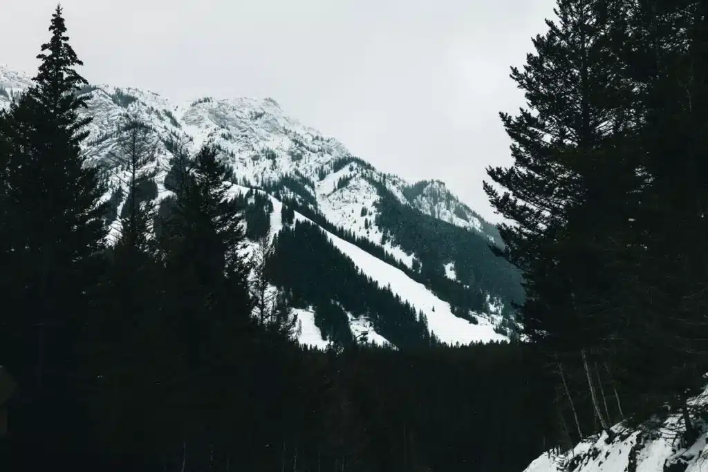 Voyageur en vêtements d'hiver contemplant un paysage enneigé de forêt canadienne sous ciel dégagé