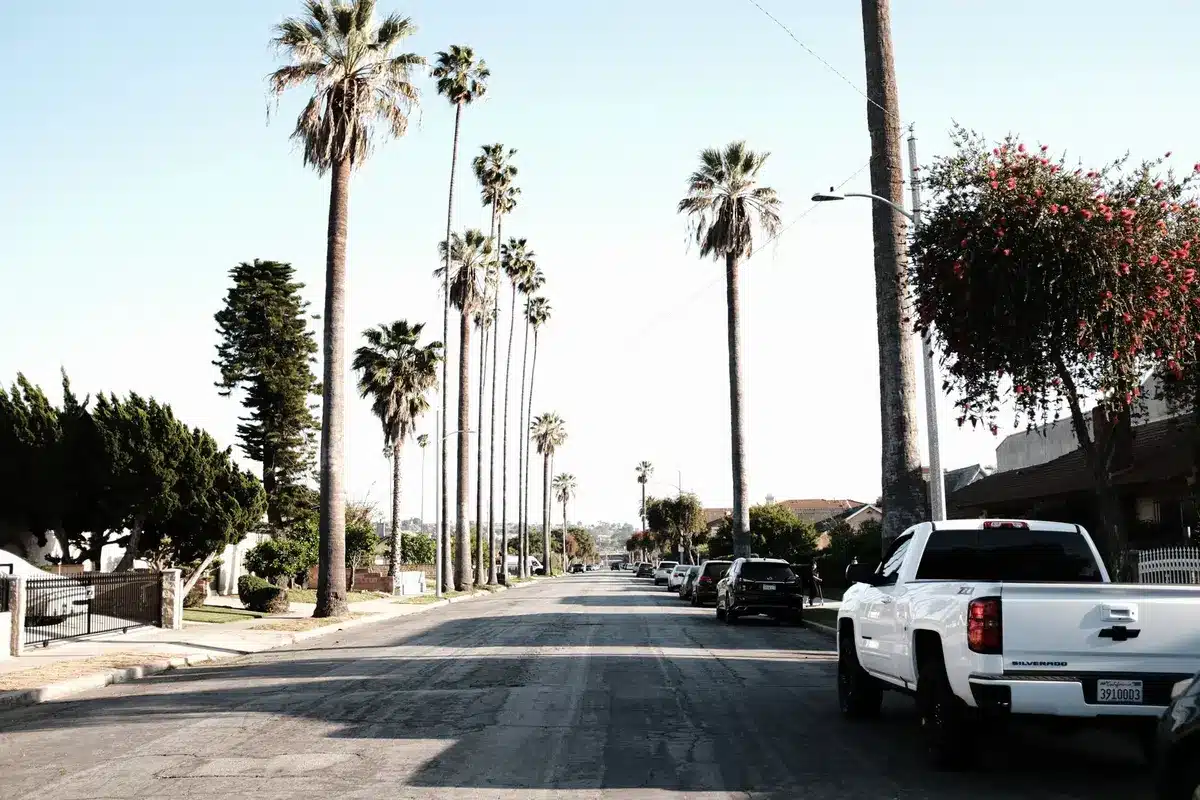 Vue aérienne de quartiers urbains de Los Angeles avec palmiers et collines en arrière-plan