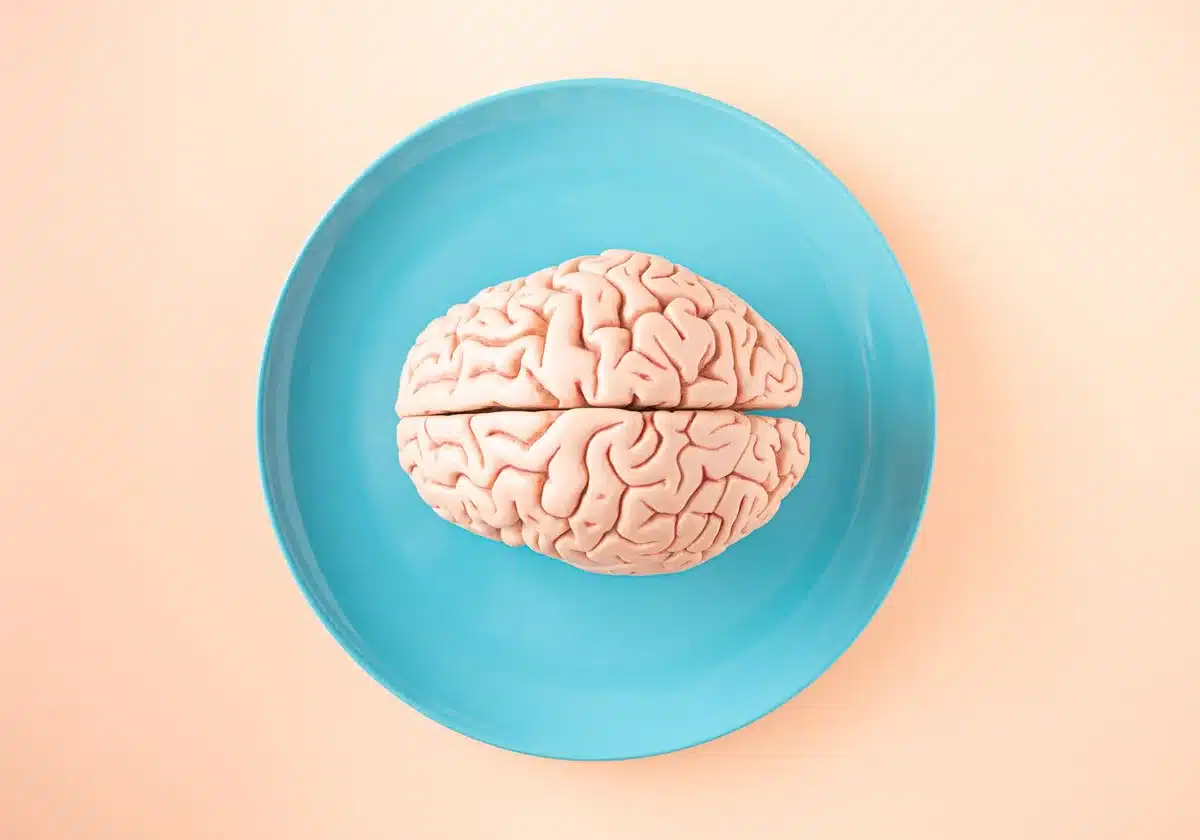 Illustration conceptuelle des neurotransmetteurs et des connexions nerveuses dans le cerveau