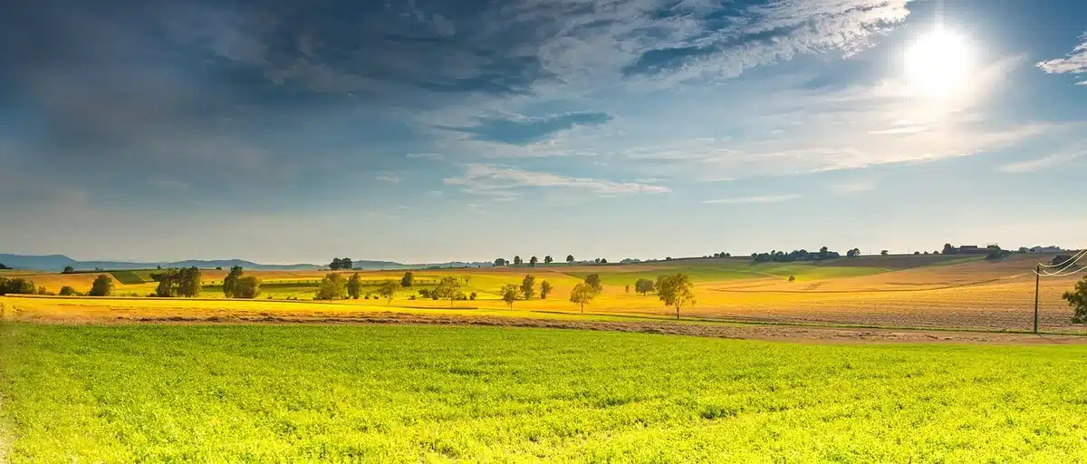 Vastes plaines et forêts américaines sous un ciel dégagé, symbolisant les grands espaces de la contemplation littéraire.