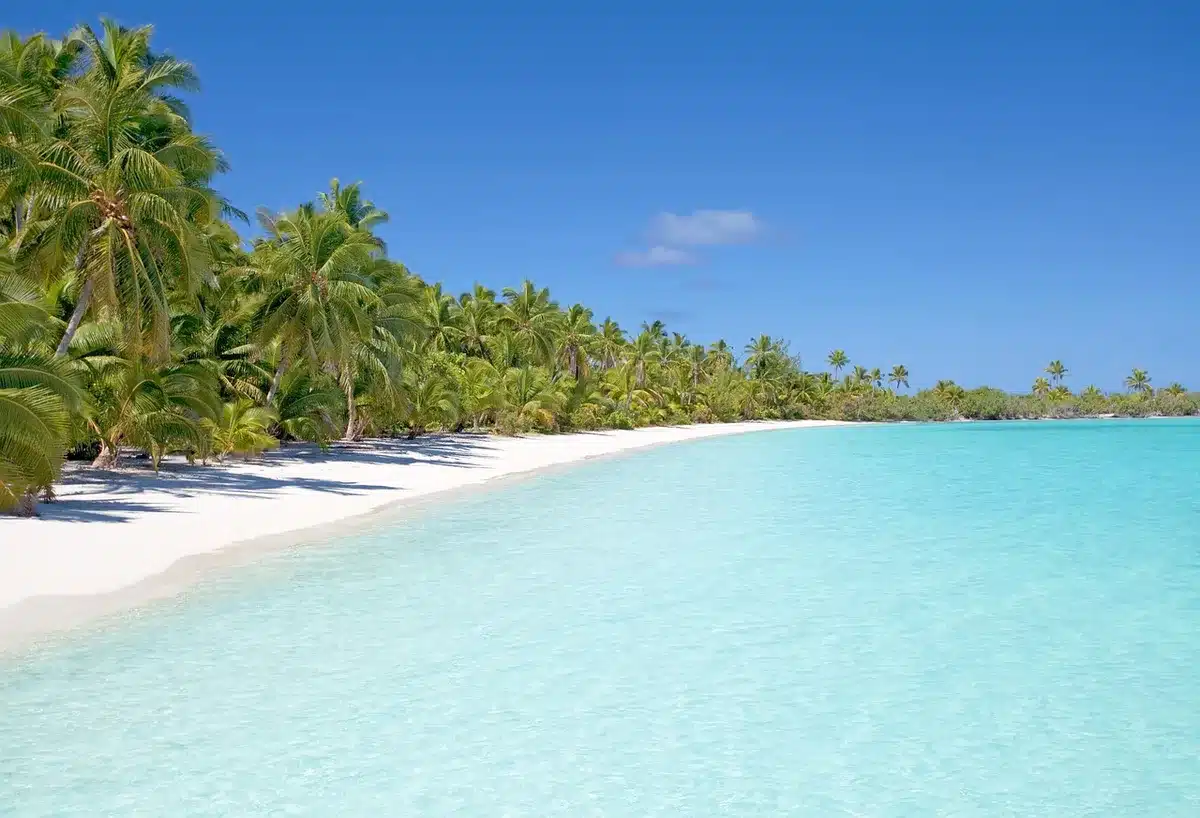 Végétation tropicale et littoral de Haïnan, palmiers et forêt dense