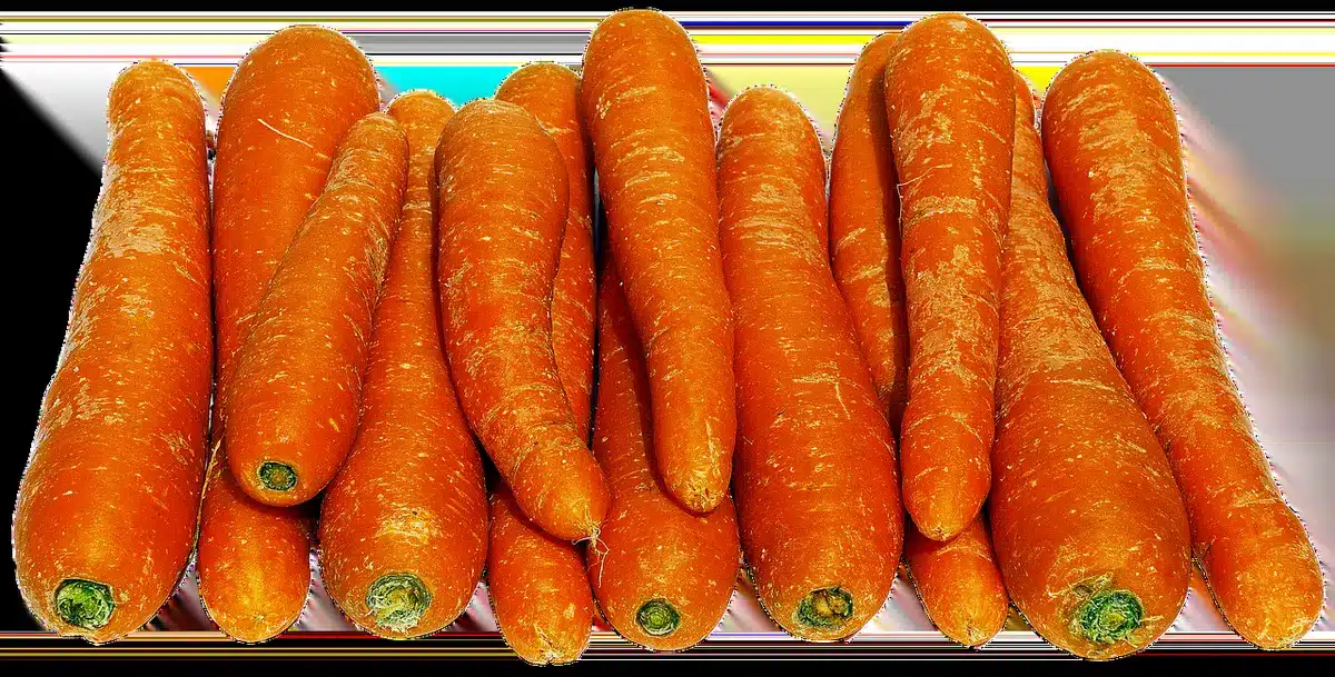 Assortiment de patates douces, carottes et légumes orangés riches en bêta-carotène