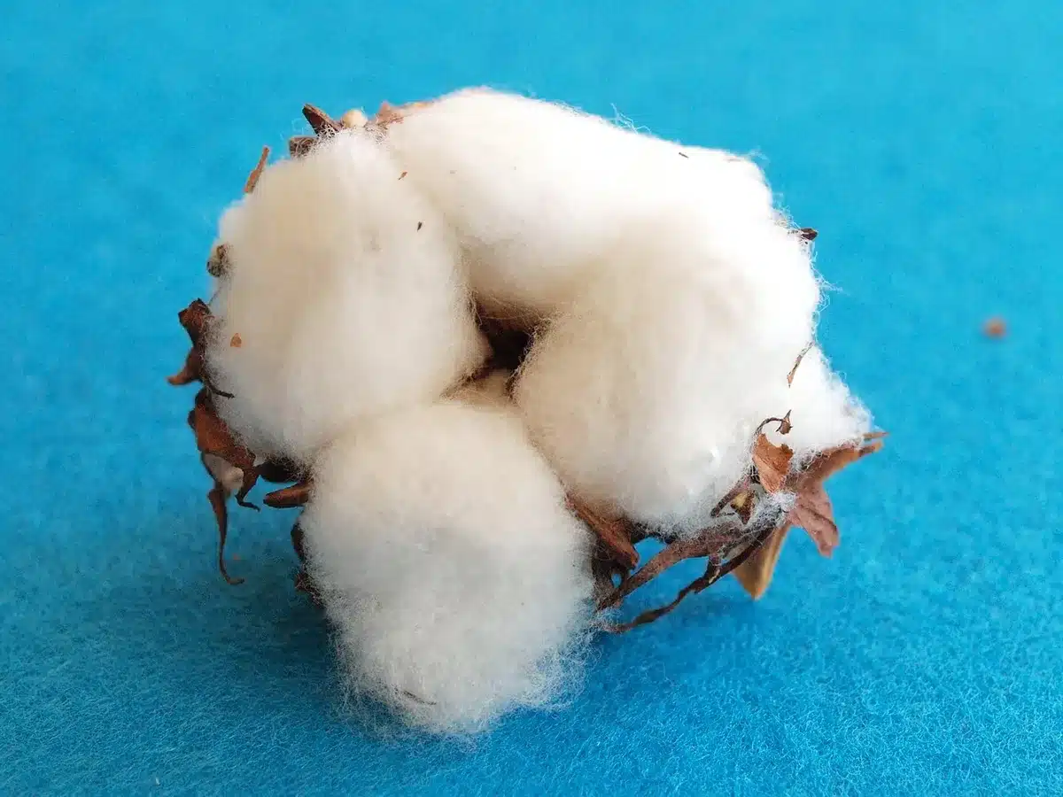 Flacon d'exfoliant chimique avec coton et gants, préparation pour usage hebdomadaire
