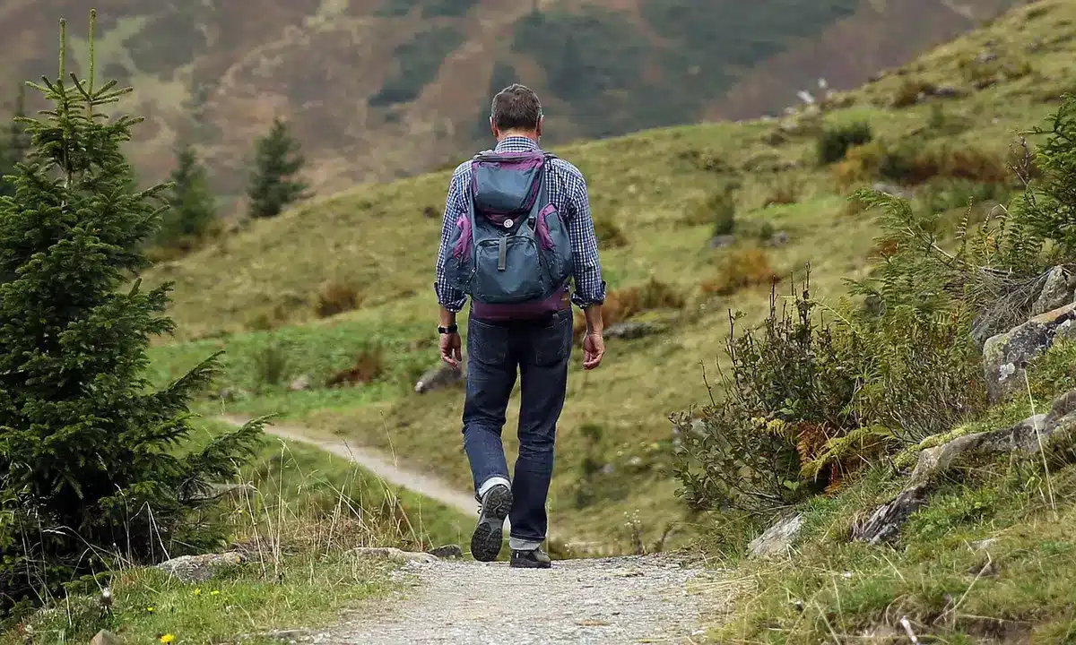 Promeneurs sur planches et panneaux protégeant la végétation dunaire