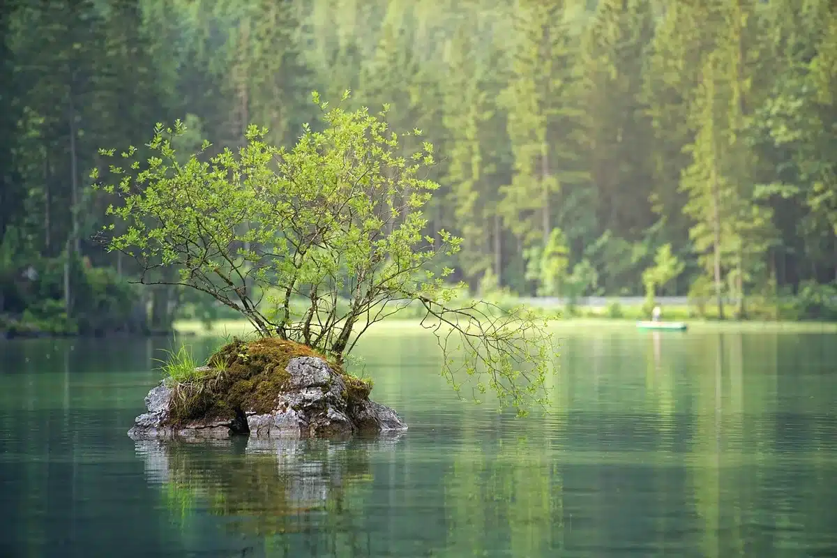 Rives claires d'un lac d'eau douce entouré de végétation, typique des lacs de K'Gari