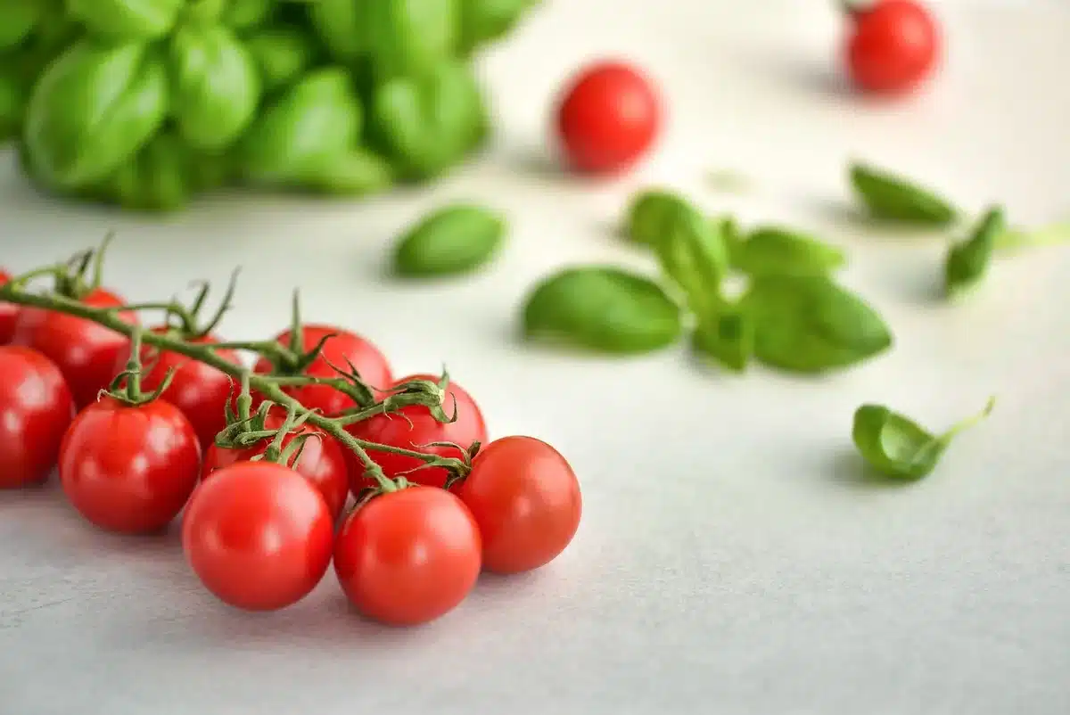 Assiette végétarienne riche en protéines montrant sources alimentaires faibles en créatine