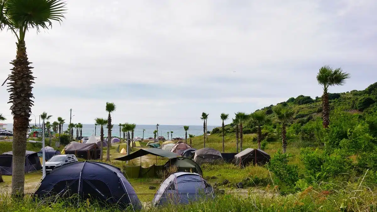Emplacement de camping proche de la plage avec tentes et table